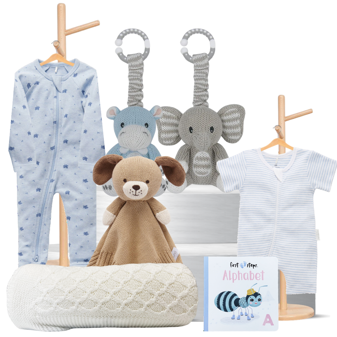 Pure Baby Boy Snuggles Hamper