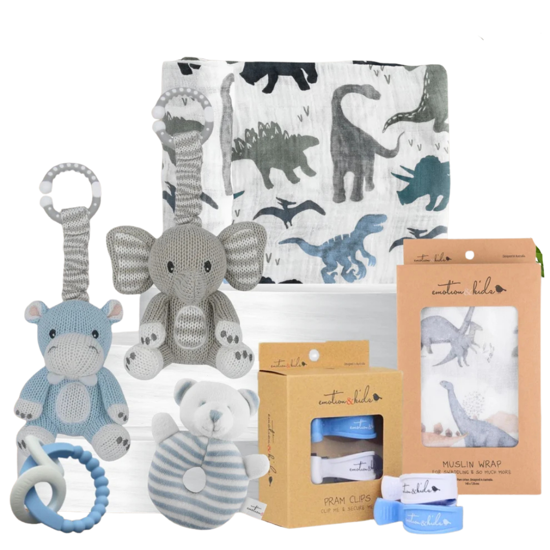 Dinosaur & Rattles Newborn Hamper