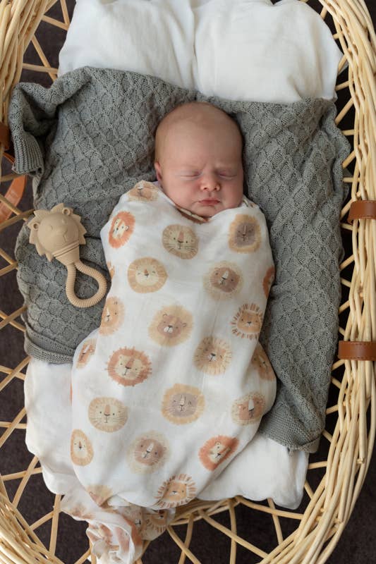Zeebra & Lion Rattle Baby Hamper - Baby Gifts Australia
