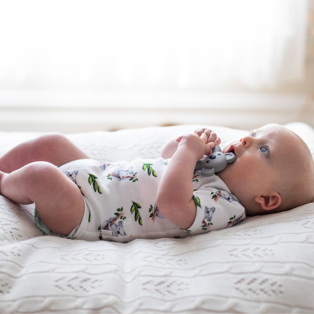 Koala Organic Cotton Short Sleeve Bodysuit - Baby Gifts Australia
