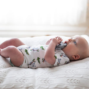 Koala Organic Cotton Short Sleeve Bodysuit - Baby Gifts Australia