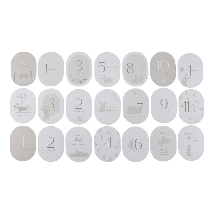 Baby Bunny Milestone Cards - Baby Gifts Australia