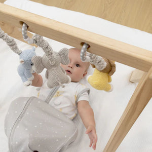 Living Textile 2 Pack Stroller Toys - Zebra & Lion - Baby Gifts Australia