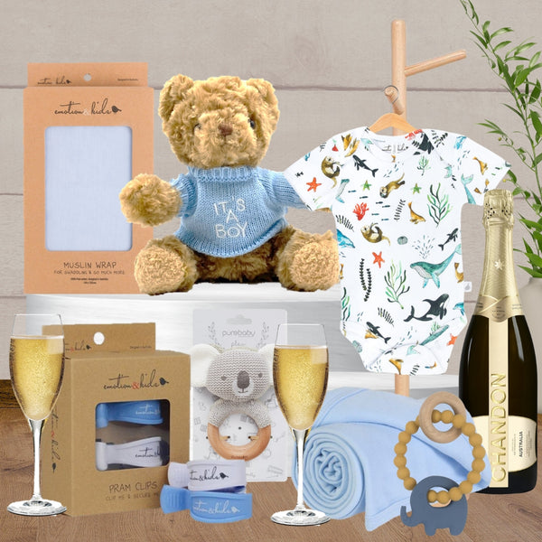 Baby Boy Welcome Celebration