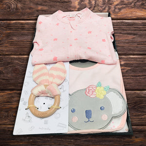 Newborn Baby Girl Feeding Hamper - Baby Gifts Australia