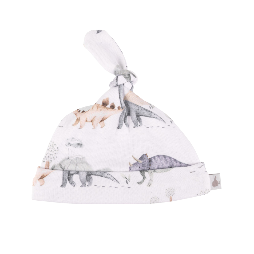 Dinosaurs Adventure Organic Cotton Hat