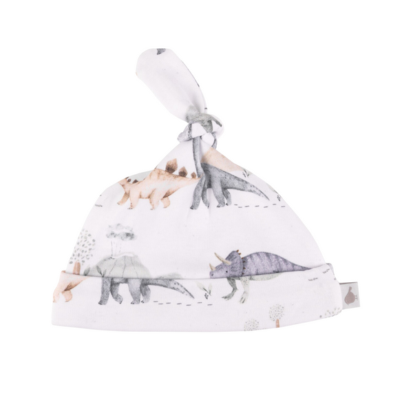 Dinosaurs Adventure Organic Cotton Hat