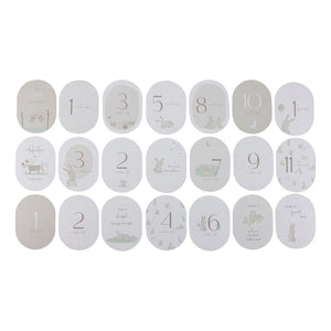 Baby Bunny Milestone Cards - Baby Gifts Australia