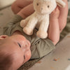 Little Farm Cuddle Sheep 17cm - Baby Gifts Australia
