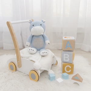 Baby Boy Cuddle Hamper - Baby Gifts Australia